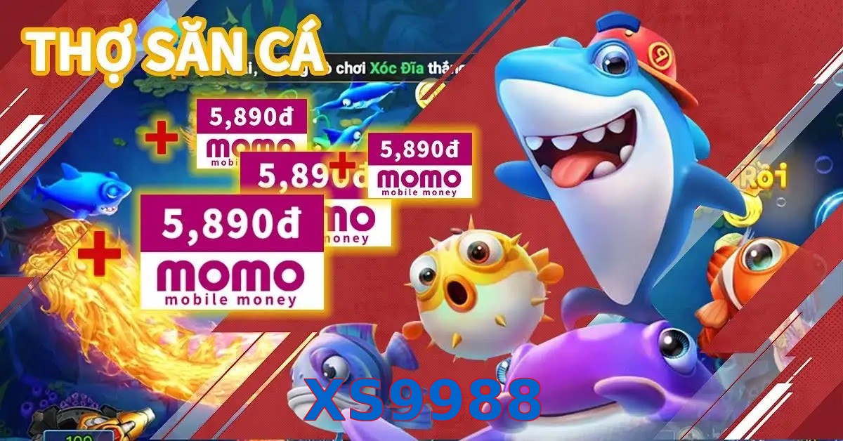 XS9988