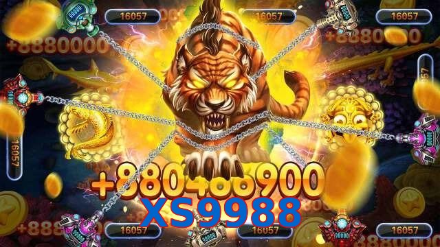 XS9988