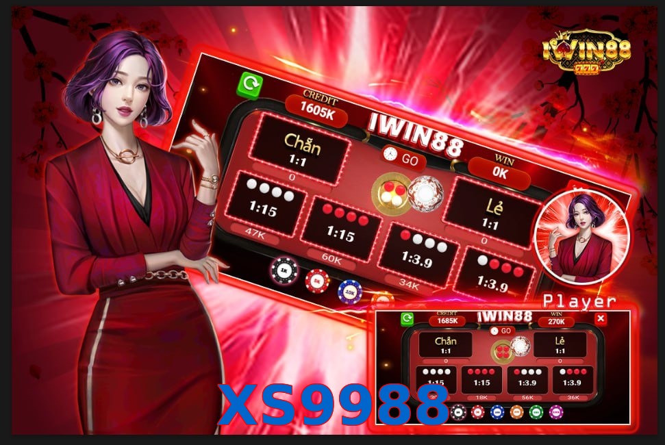 XS9988