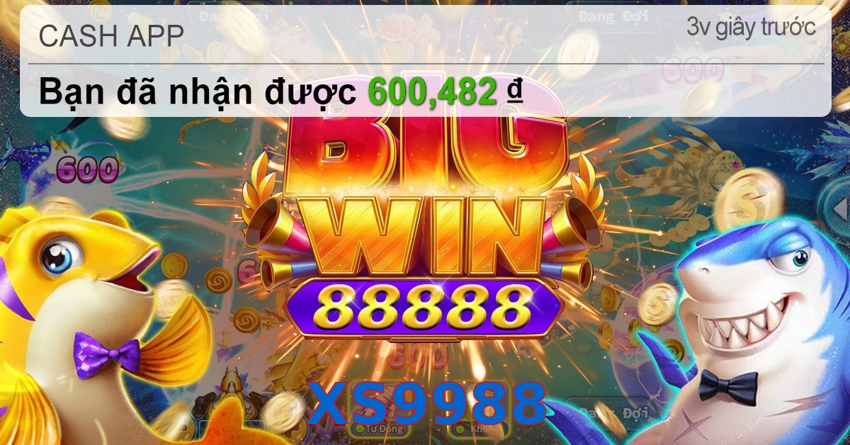 XS9988