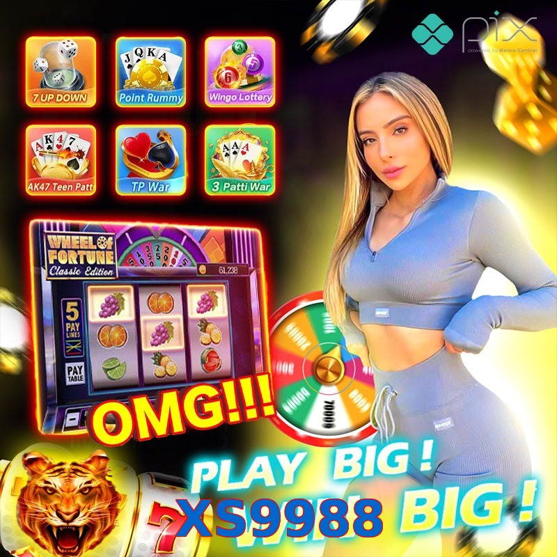 XS9988