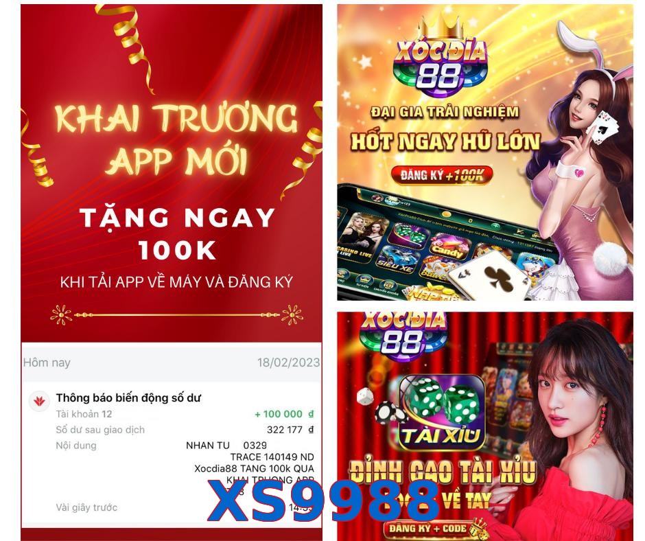 XS9988